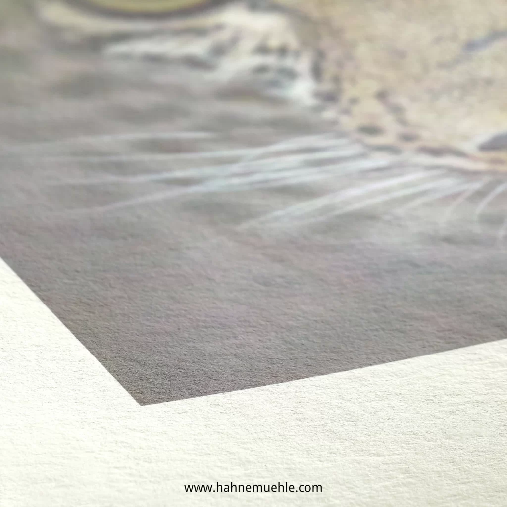 Hahnemühle® Bamboo 290 gsm