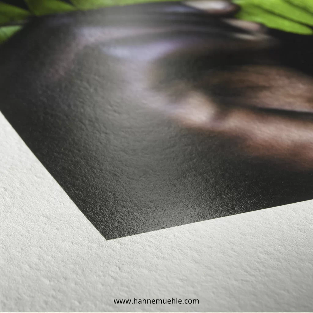Hahnemühle® Photo Rag® Pearl 320 gsm